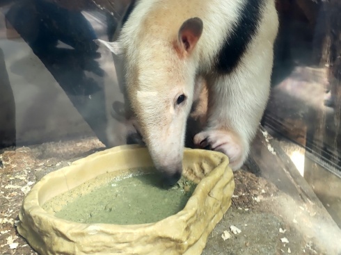 &#128060;動物園巡り８巡目&#127908;神戸動物王国&#128047;_d0122424_22100037.jpg