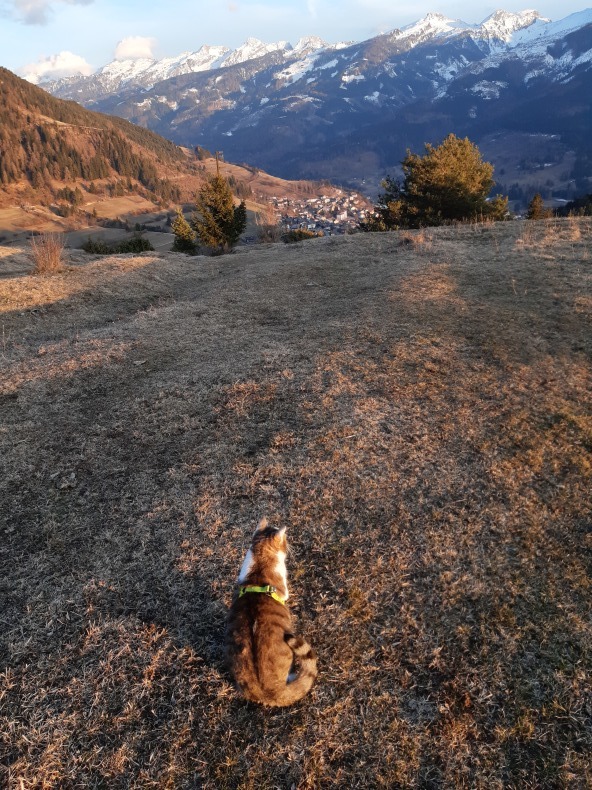 冬の終わりの散歩 - オルガニスト愛のイタリア山小屋生活