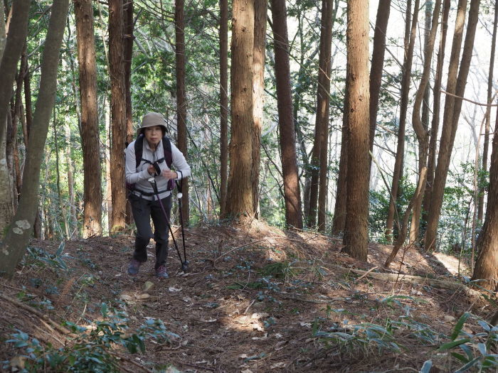 湯来冠山登山_c0116915_01035005.jpg