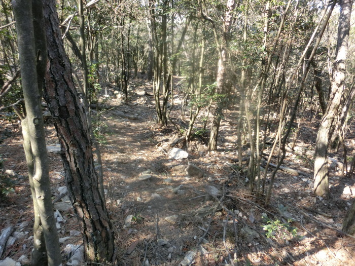 No575　岡山観音寺山・水引ノ滝～中山コース_b0185573_07190384.jpg