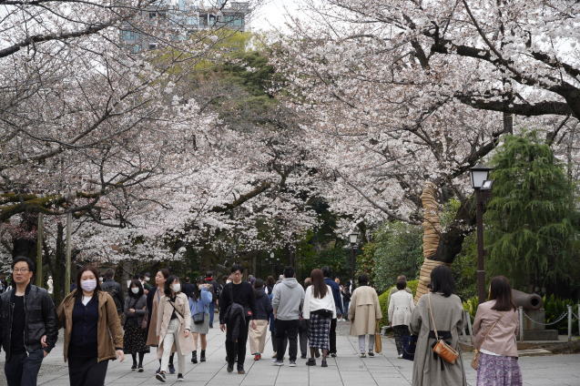 さくら散歩２０２３（千鳥ヶ淵～靖国神社）_b0178388_20095884.jpg