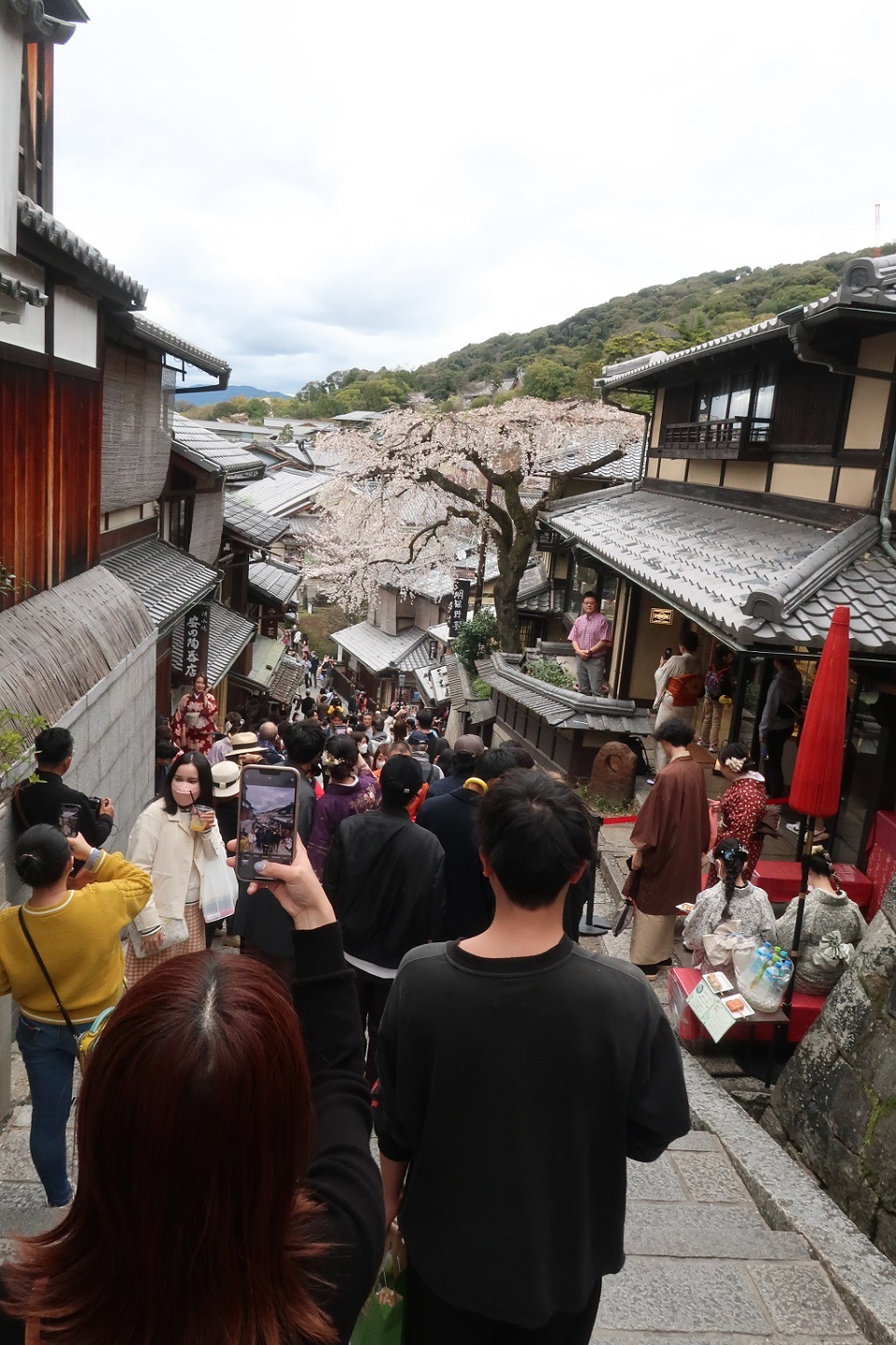 知恩院、丸山公園、高台寺、圓徳院、三年坂　              　　　　　　～京都のさくら満開～_a0107574_19544156.jpg