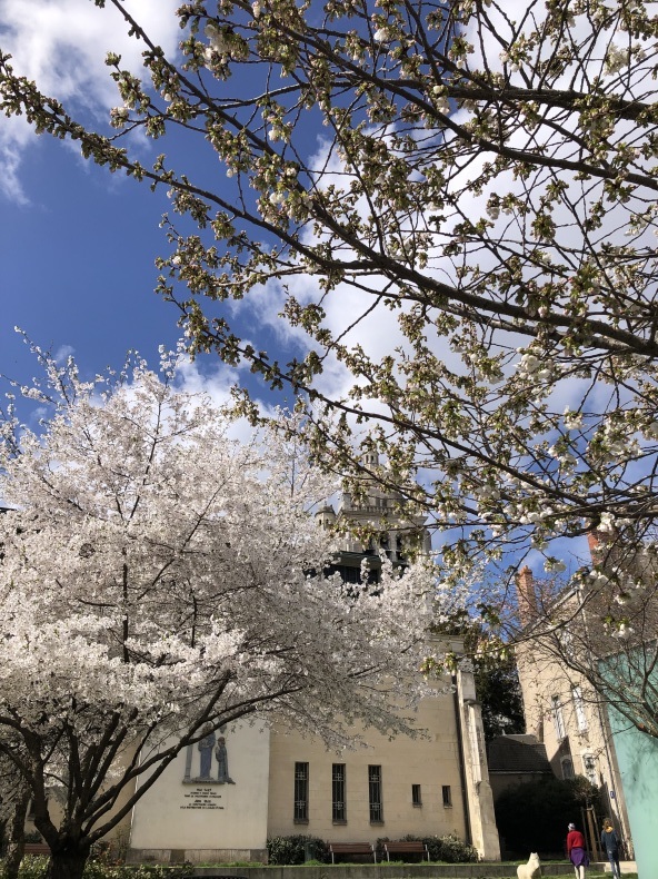 オルレアンと満開の桜　歴史都市をぶらぶら散歩_a0231632_22225686.jpeg