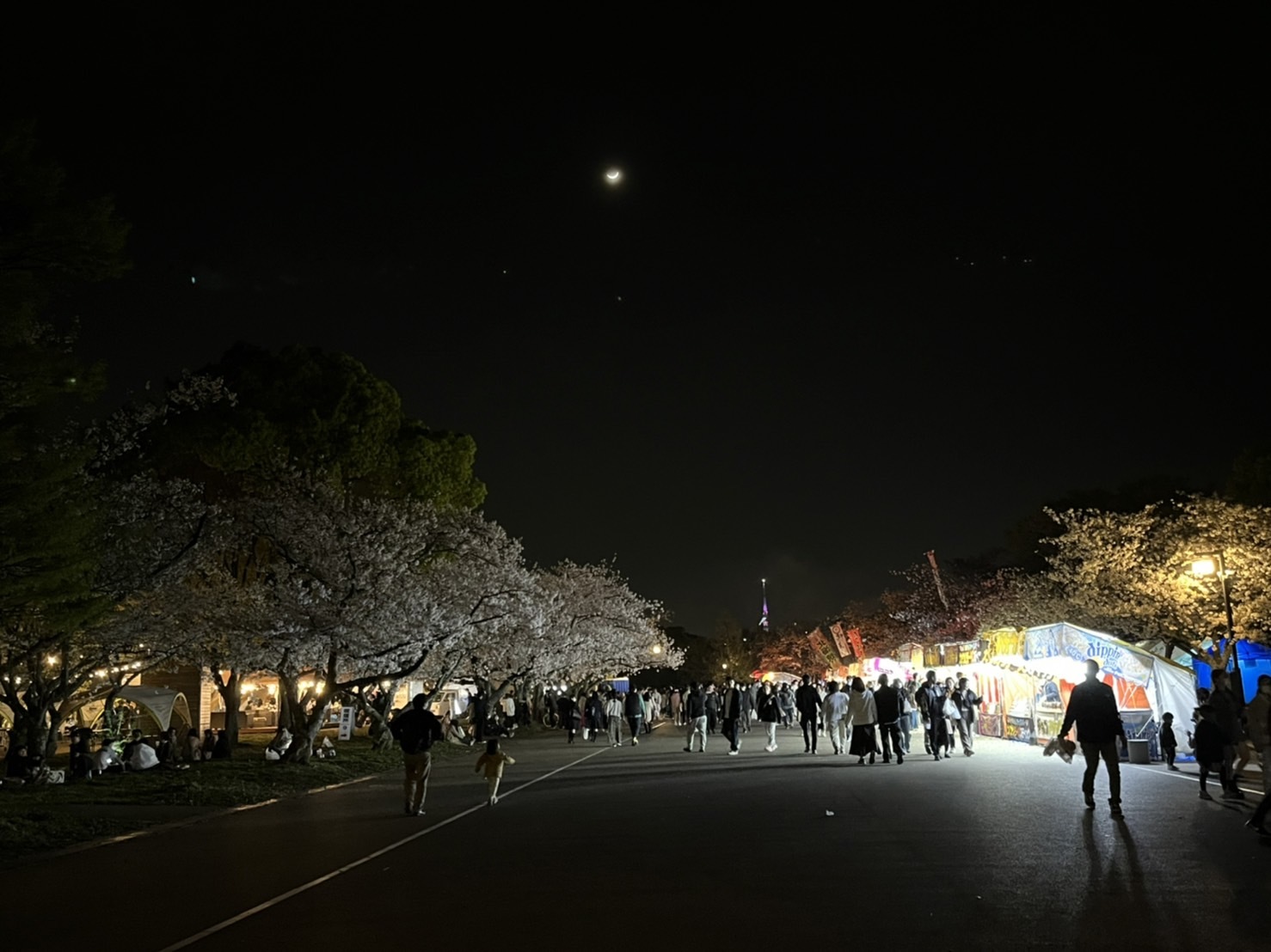 ４年ぶり桜祭り❗_b0005683_16081542.jpg