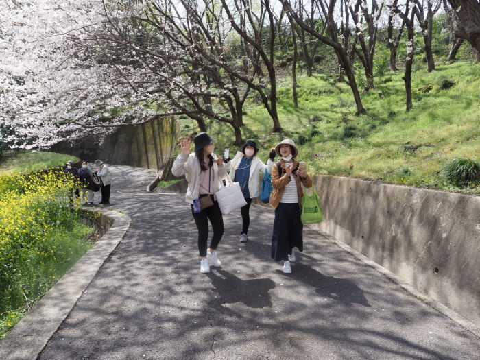 佐木島　塔の峰千本桜のお花見_c0116915_23463285.jpg