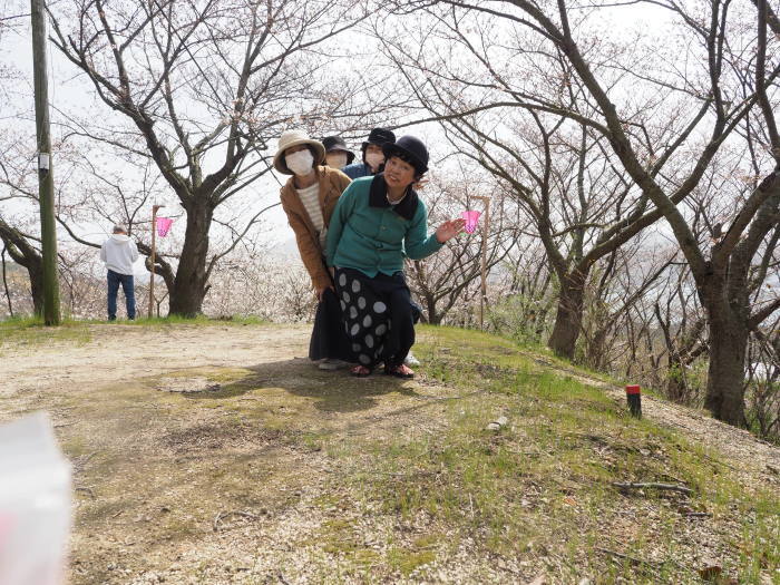 佐木島　塔の峰千本桜のお花見_c0116915_23545721.jpg
