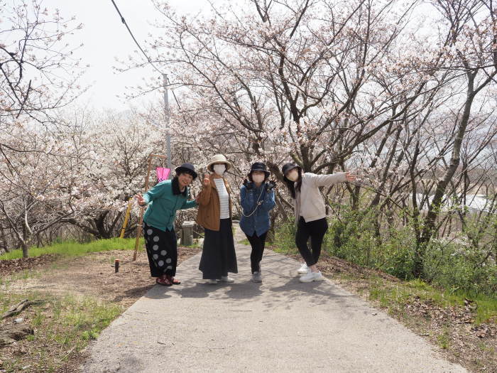 佐木島　塔の峰千本桜のお花見_c0116915_23561113.jpg