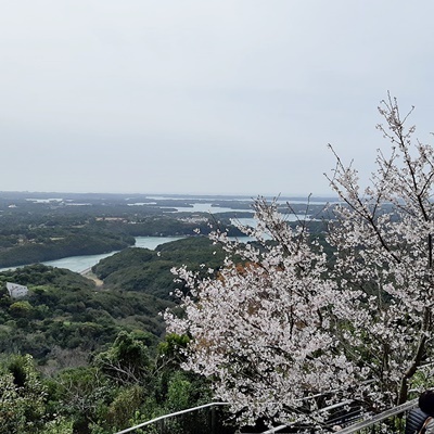 横山展望台_f0129726_17320486.jpg