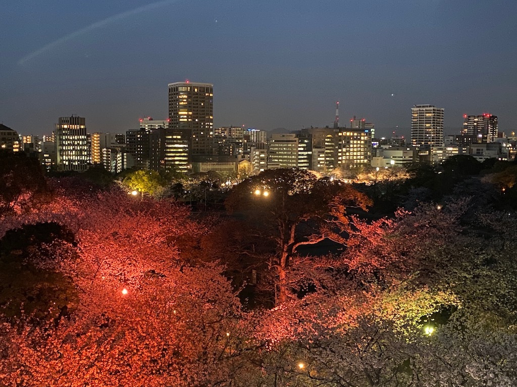 舞鶴公園は桜が満開_e0401509_21540140.jpg