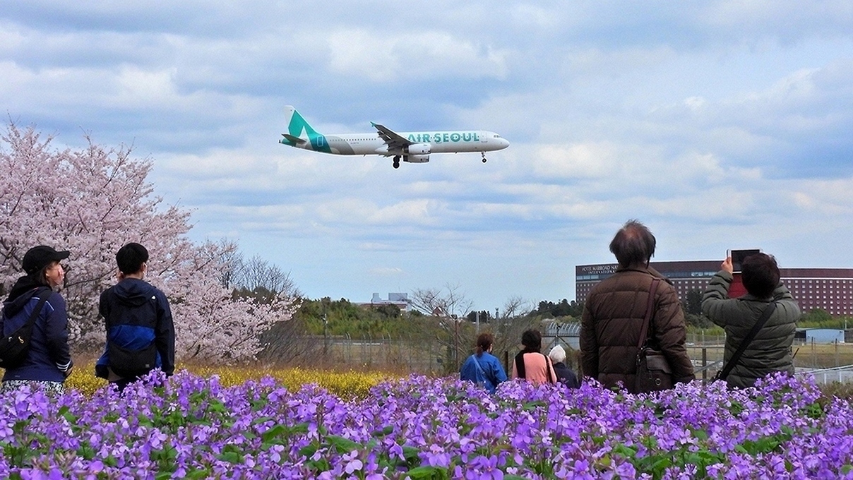 成田「さくらの山公園」で満開の桜と航空機のコラボレーションは素晴らしい絶景だったぜ♪_a0031821_15020848.jpg
