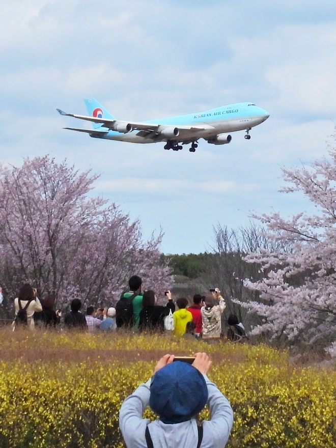 成田「さくらの山公園」で満開の桜と航空機のコラボレーションは素晴らしい絶景だったぜ♪_a0031821_15023840.jpg