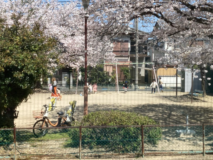 桜が咲く公園_f0155431_20260209.jpg