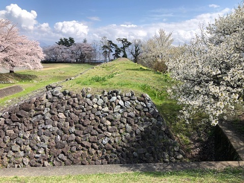満開の桜♪徳島堰ファイナル_f0019247_21063643.jpg