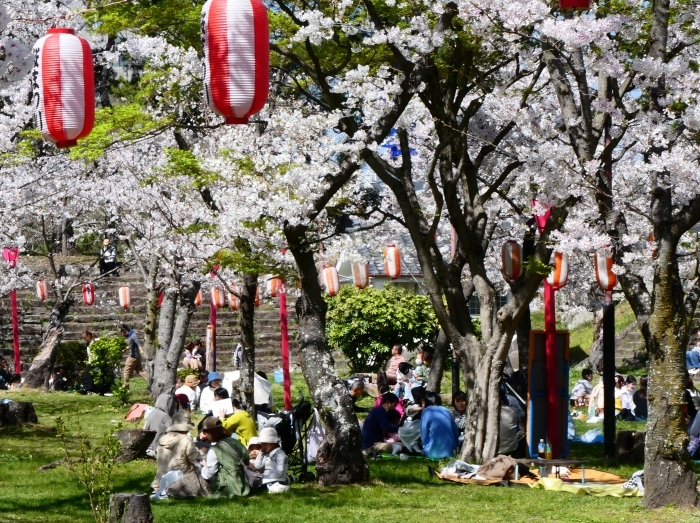 　　和歌山城公園 桜まつり　　２０２３-０４-０１　００：００_b0093754_22453664.jpg