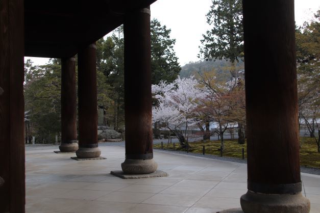 早朝の南禅寺　桜も引き締まって満開_e0048413_21145174.jpg