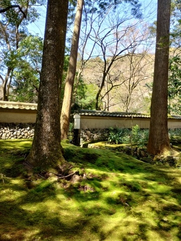京都建築探訪（1）　苔寺（西芳寺）_a0147436_17511581.jpg