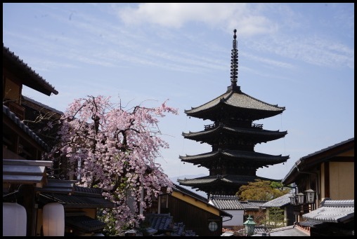 京都の桜「清水寺」_d0024438_08375997.jpg