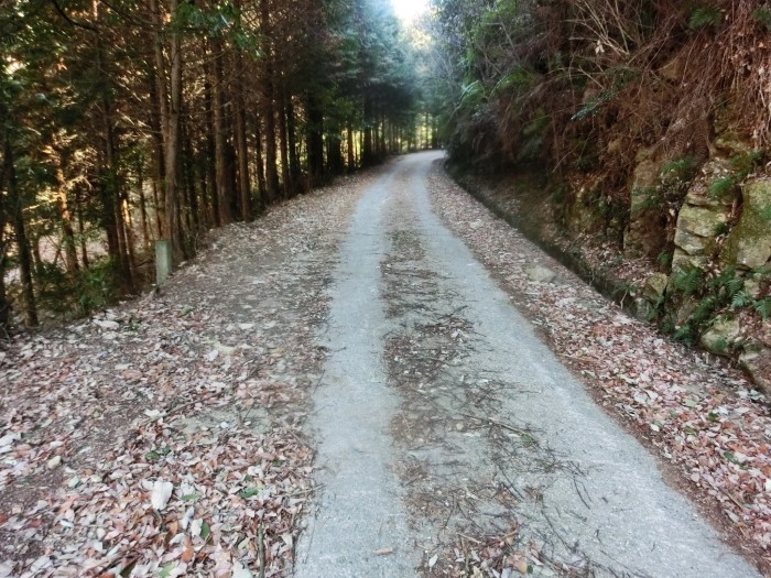 No575　岡山観音寺山・水引ノ滝～中山コース_b0185573_12141247.jpg