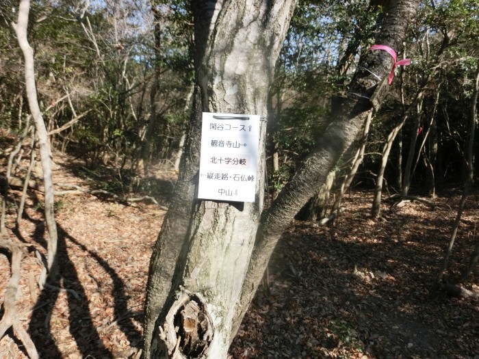 No575　岡山観音寺山・水引ノ滝～中山コース_b0185573_19243733.jpg