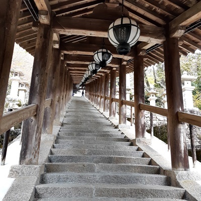 奈良でお花見！　その1　長谷寺_f0129726_20355768.jpg