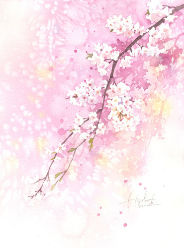 枝垂れ桜の描き方動画　再投稿_f0176370_09411716.jpg
