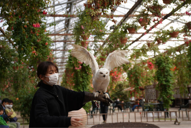 「富士花鳥園」_b0413793_19440501.jpg