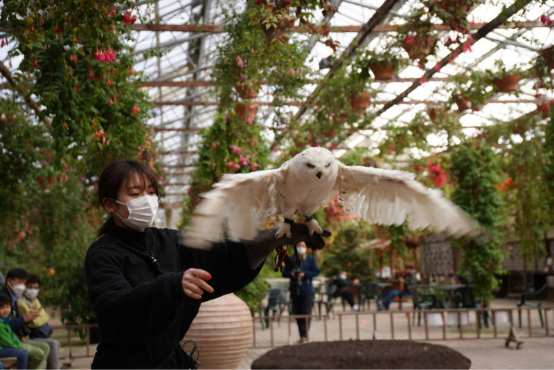 「富士花鳥園」_b0413793_19440653.jpg