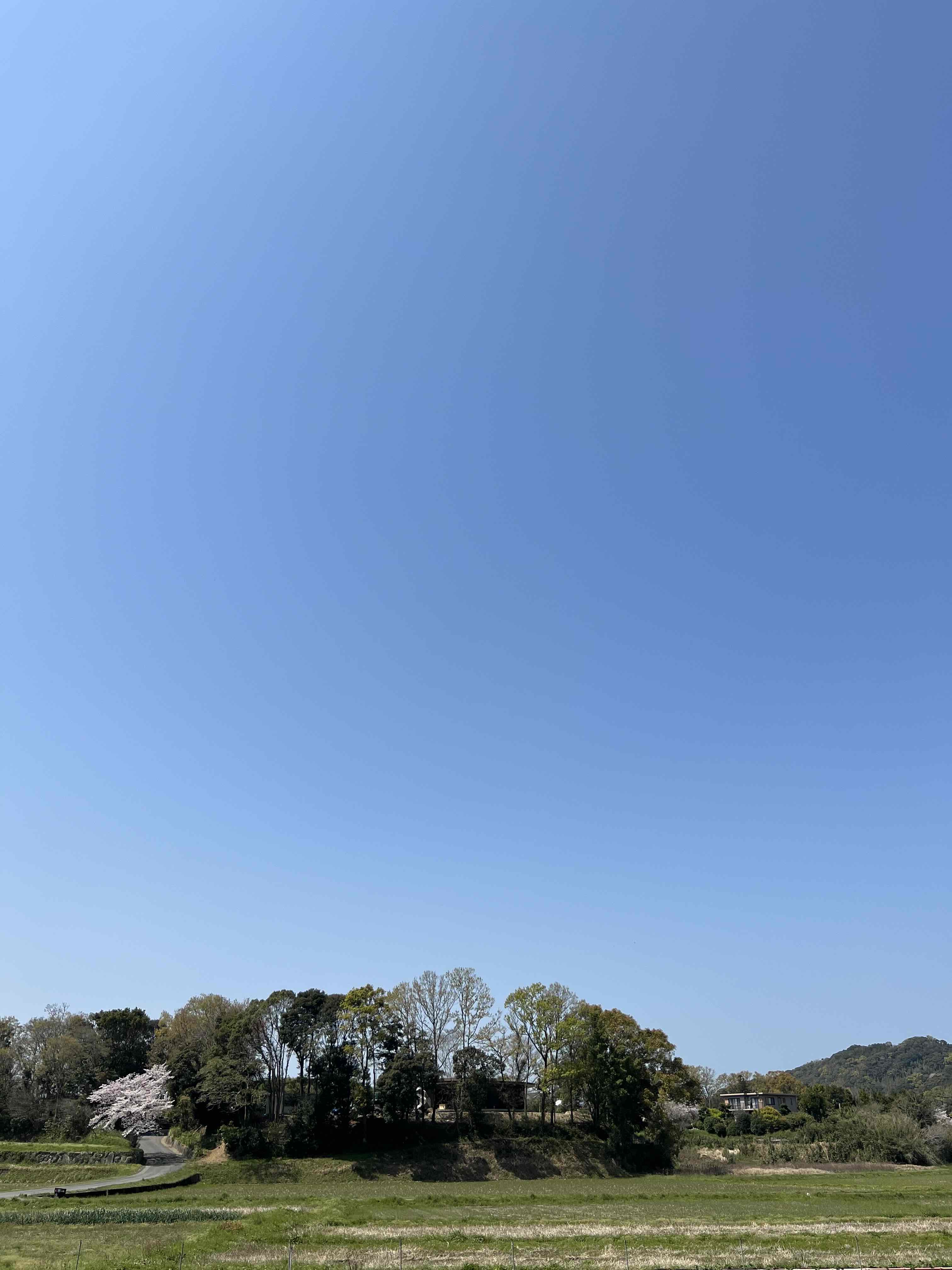 「糸島の森プロジェクト CIRCLE」の完成見学会を開催します。_e0029115_12514572.jpg
