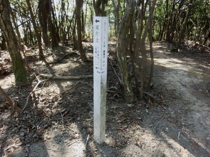 No575　岡山観音寺山・水引ノ滝～中山コース_b0185573_15320369.jpg