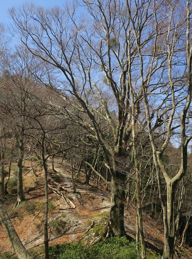 廃村八丁 再訪（京都北山）_a0286351_01104768.jpg