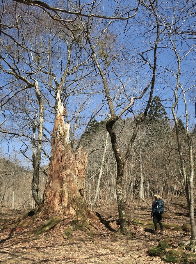 廃村八丁 再訪（京都北山）_a0286351_01192006.jpg