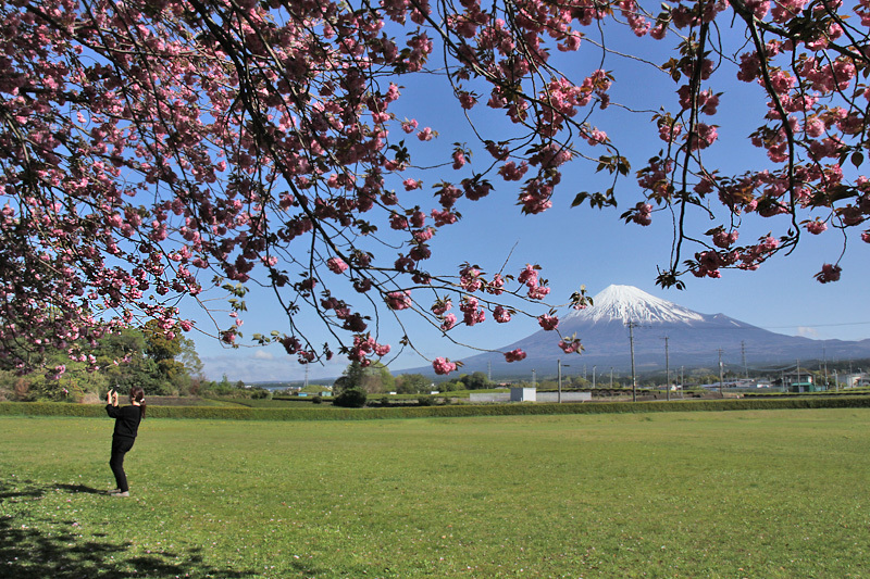 運動公園にて_f0380240_14103456.jpg