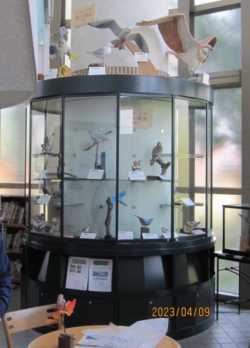 　荒川知水資料館（AMOA）への展示を再開しました_a0337946_14474697.jpg