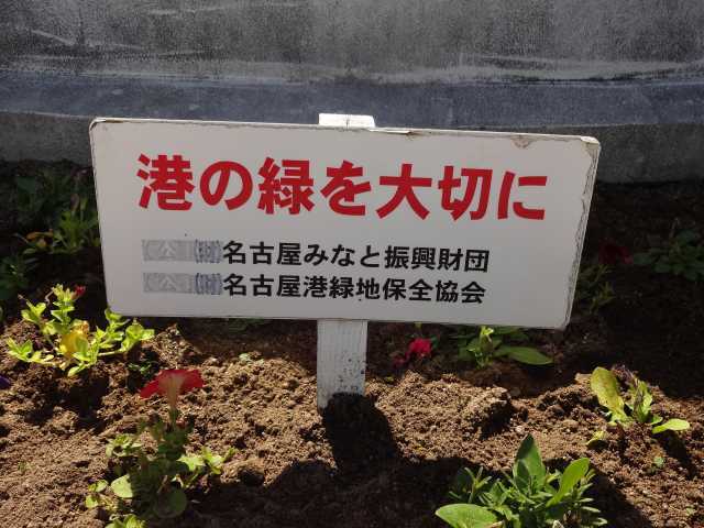 名古屋港水族館前花壇の植栽R5.4.10_d0338682_07590069.jpg