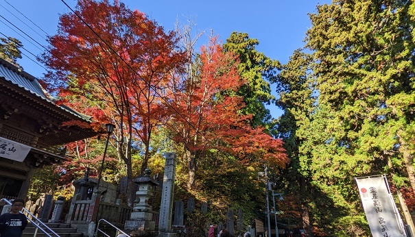 紅葉の高尾山_e0014154_16360871.jpg