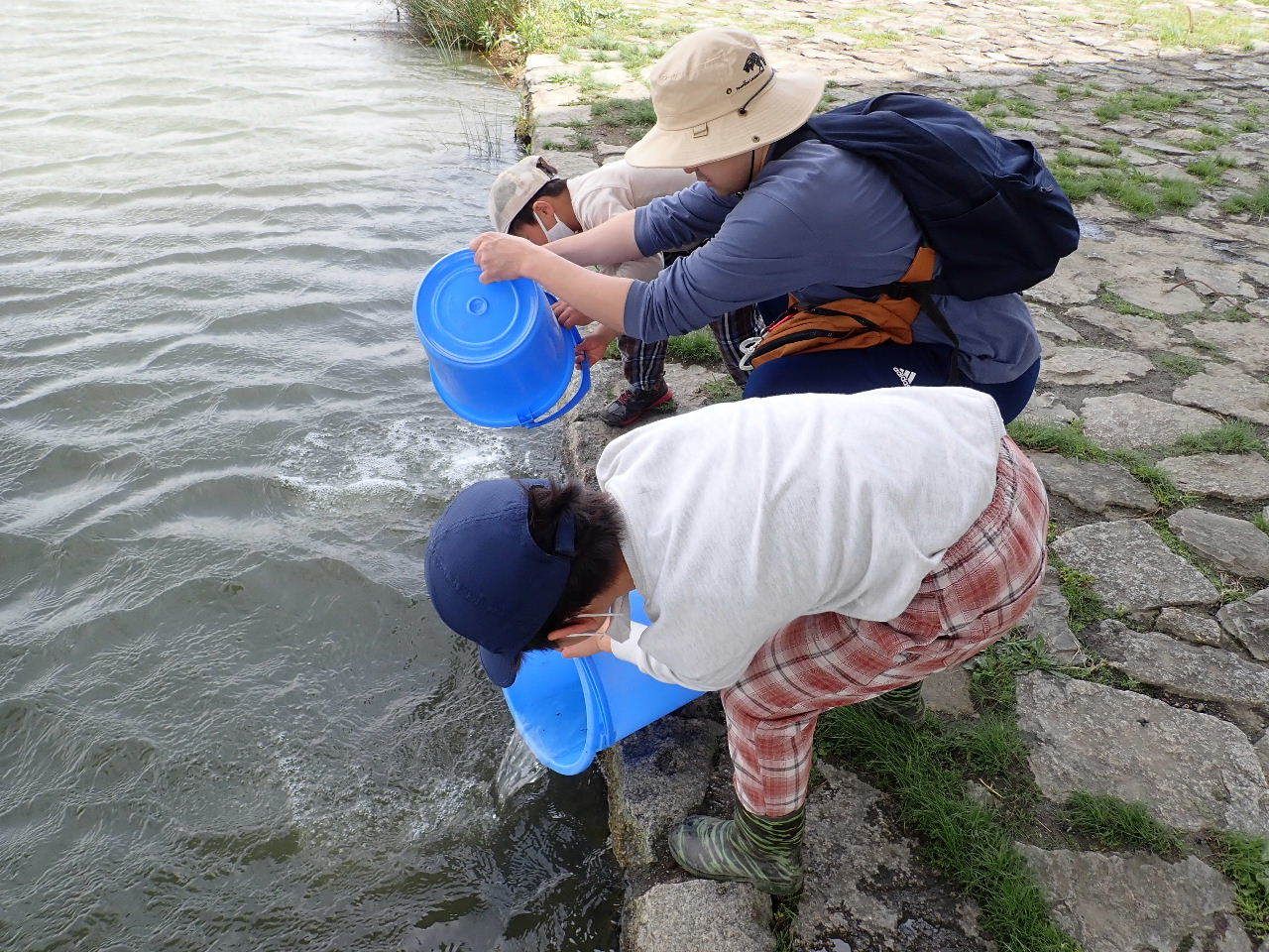  【ご報告】城北定例保全活動2+BBQ_a0263106_23055395.jpg