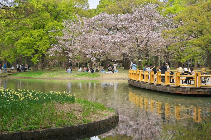 162.  代々木公園、新緑とお花見_e0405185_12230955.jpg