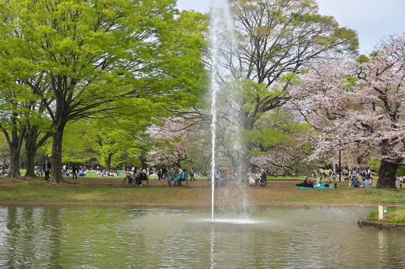 162.  代々木公園、新緑とお花見_e0405185_12234385.jpg