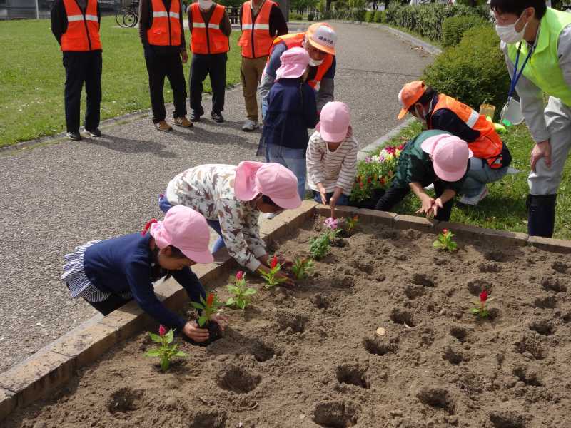 港保育園の子ども達と大手銀杏の会の皆さんとの花の植替_d0338682_07580461.jpg