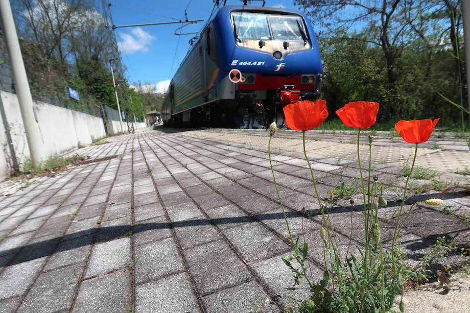 青空を映し電車ゆく駅にひなげしの花、ペルージャ_f0234936_23485717.jpg