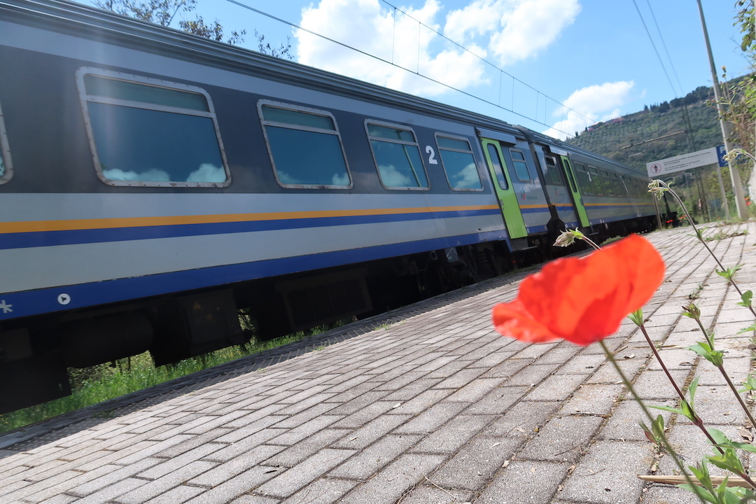 青空を映し電車ゆく駅にひなげしの花、ペルージャ_f0234936_23532107.jpg