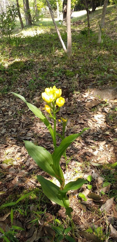 茨城県植物園_a0207912_19324675.jpg