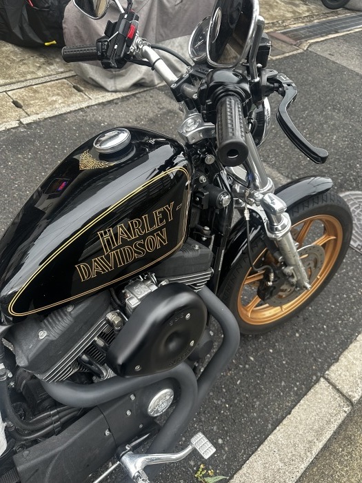 Harley Davidson カスタムメンテナンス_b0160319_13590467.jpg