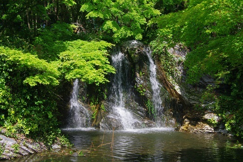 春の浜名湖ガーデンパーク_d0164761_15052939.jpg