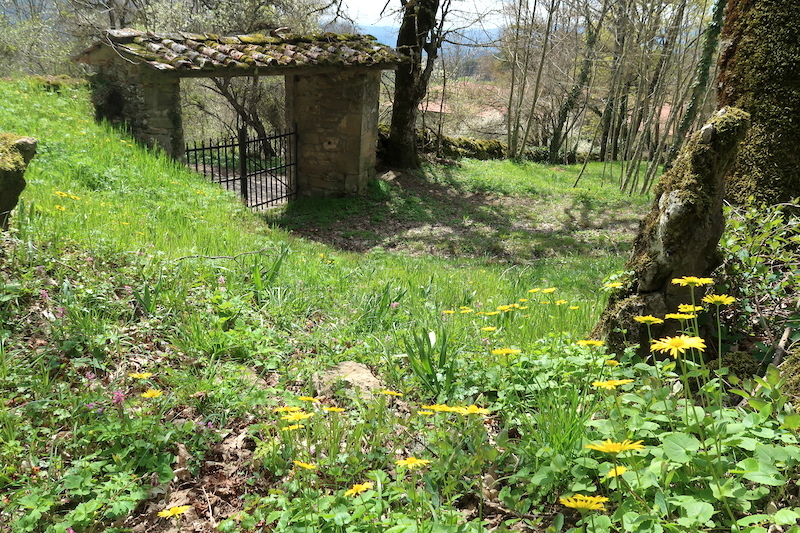 ヘレボルス・スミレ今も咲くラヴェルナの森を修道院へ_f0234936_22132517.jpg