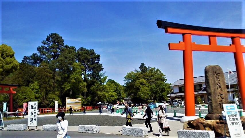 【京都】上賀茂神社_f0379049_22225084.jpg