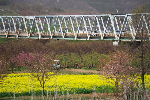 小布施町　千曲川河川公園_a0263109_15004015.jpg