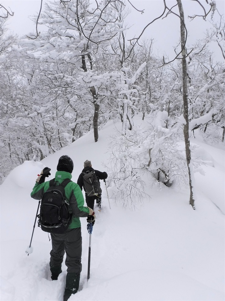 江賀谷左俣から八丁平・峰床山（京都北山）_a0286351_10493559.jpg