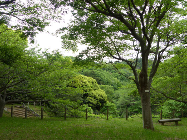 4月22日 鎌倉中央公園散策_f0296312_01085783.jpg