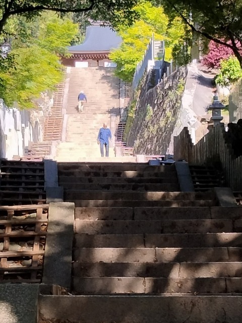 ウォーキング（恩智駅～信貴霊苑～恩智神社～恩智駅）_f0096508_15272683.jpg